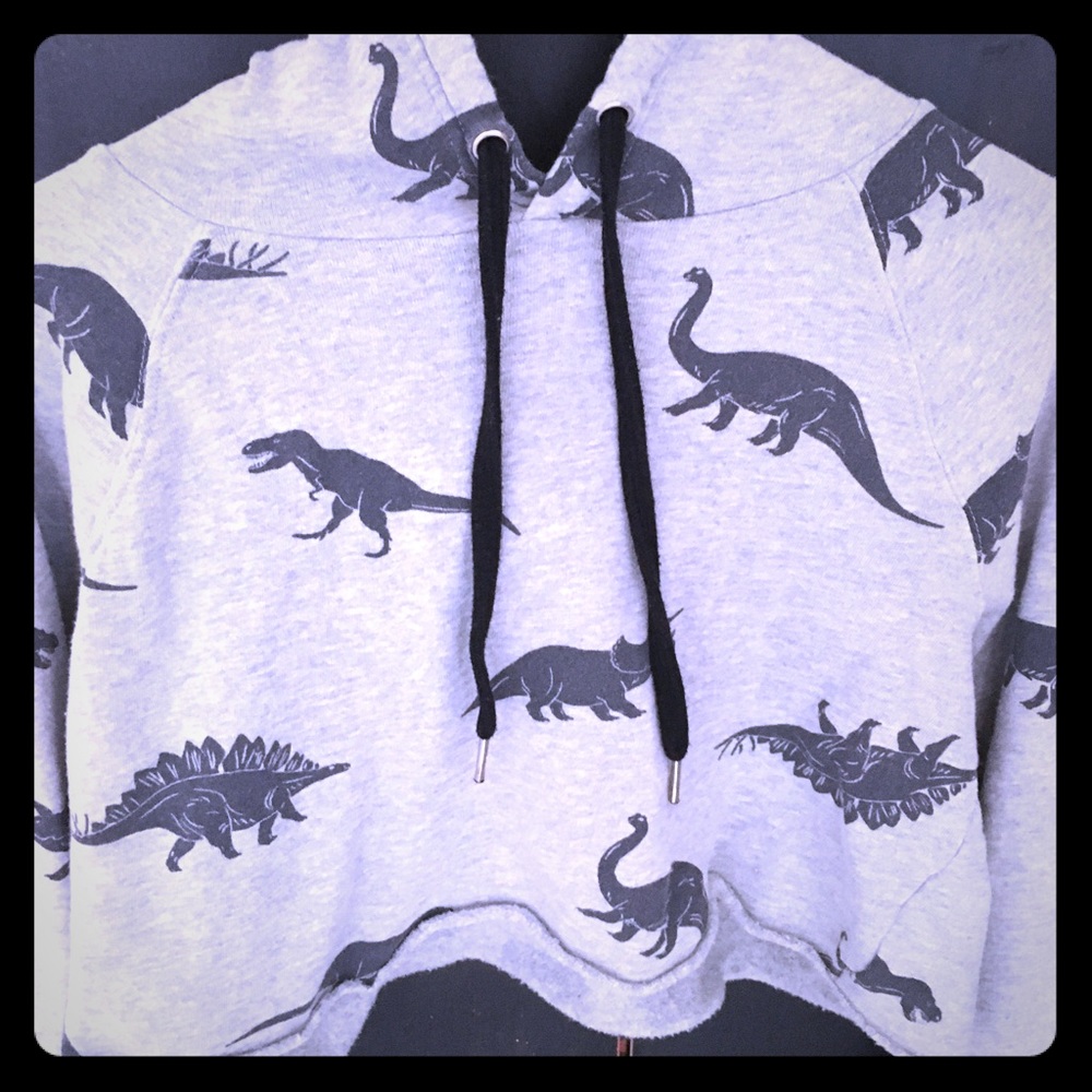 Cropped hoodie sweatshirt DINO print ladies